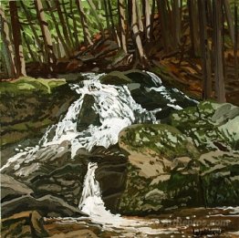 Study for Falls - Jam Brook