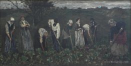 Workers on the beet field