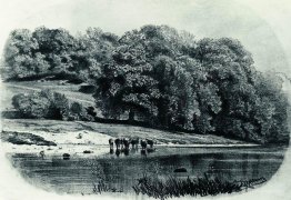 Herd on the river bank