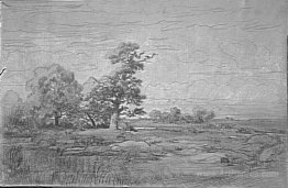 Landscape Sketch