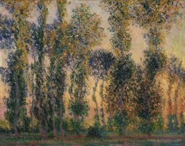 Poplars at Giverny