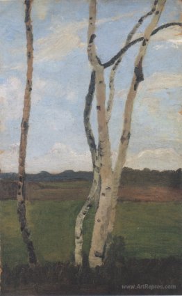 Landscape with Birch trunks