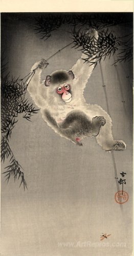 Monkey Swinging from a Bamboo Branch, Observing a Fly