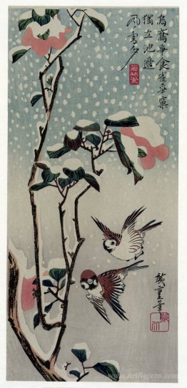 Sparrows and Camellias in the Snow