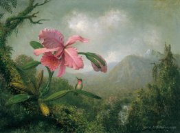 Orchid and Hummingbird near a Mountain Waterfall