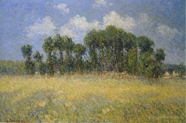 Landscape with Poplars