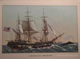 American Whaler