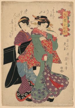 An allegory of Komachi visiting