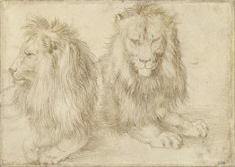 Two seated lions