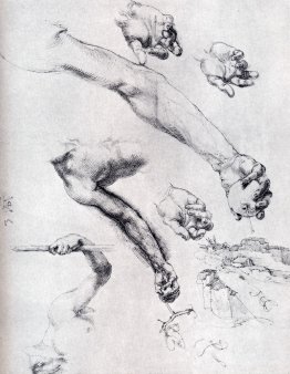 Three Studies From Nature For Adam`s Arms