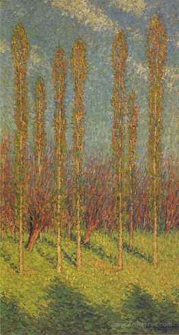 Poplars in Spring