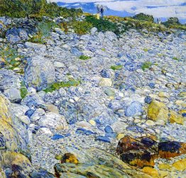 Rocky Beach, Appledore