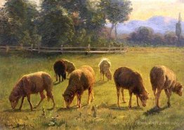 Sheep in a Landscape