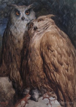 Two Owls