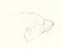 Head of a dog