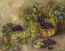 Still Life with Grapes 