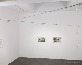 Untitled (Meat Cables)