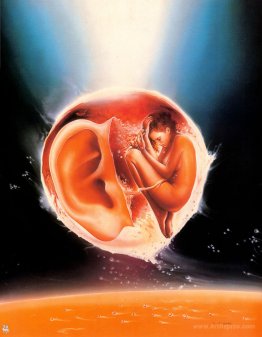 Foetus Metaphysics