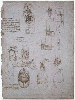 Studies of the Villa Melzi and anatomical study