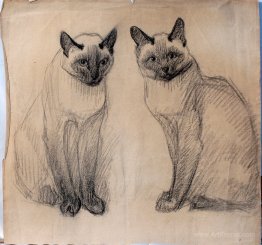 Two Siamese cats