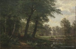 Forest landscape with stream