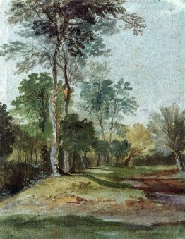 Avenue in the country