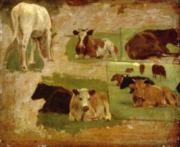 Study of Cows