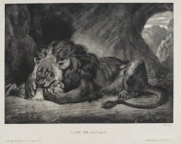 Lion of the Atlas