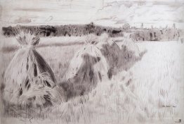 Field with sheaves