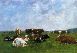 Cows in a Pasture