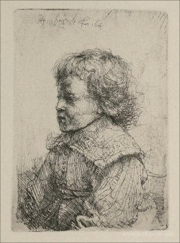 Portrait of a Boy