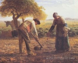 The potato growers