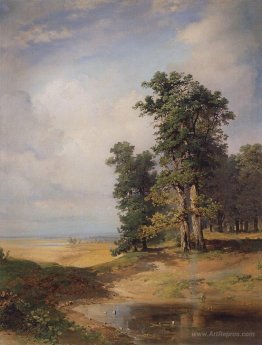 Summer landscape with oaks