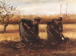 Two peasant women digging potatoes