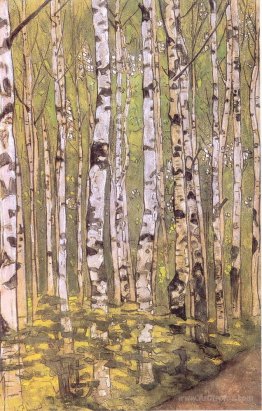 Birches