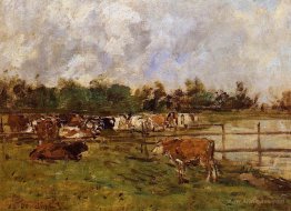 Cows in the Meadow