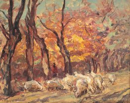 Landscape with flock of sheep