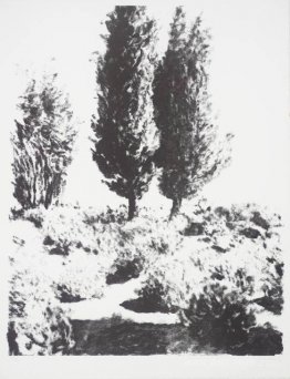 Jerusalem Cypresses and Lavender