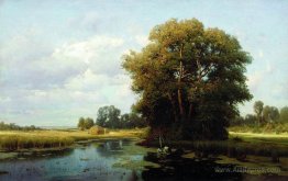 Landscape with swamp