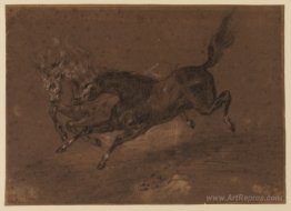 Horses running