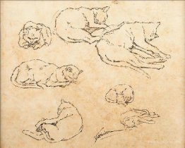 Study of Cats