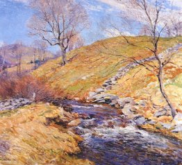 Brook in March