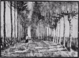 Lane with Trees and One Figure