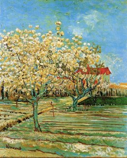 Orchard in Blossom