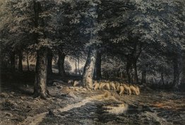 Herd of sheep in the forest