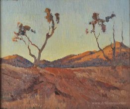 Evening light, Flinders Ranges, SA