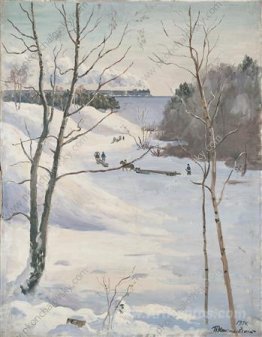 Winter Landscape with train