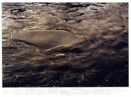 Untitled (from the series Still Water (The River Thames, for Exa