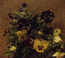 Pansies