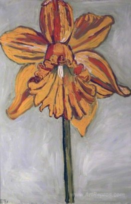 Daffodil